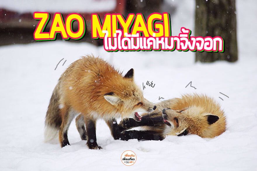 7 สถานที่น่าเที่ยว เมืองซาโอ จังหวัดมิยางิ ประเทศญี่ปุ่น